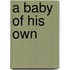 A Baby Of His Own