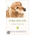 A Big Little Life