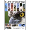 A Life Of Ospreys door Roy Dennis