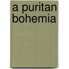 A Puritan Bohemia door Margaret Pollock Sherwood