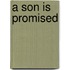 A Son Is Promised