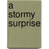 A Stormy Surprise door Jessica Gunderson