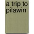 A Trip To Pilawin