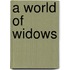 A World Of Widows