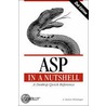 Asp In A Nutshell door A. Keyton Weissinger