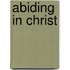 Abiding in Christ