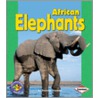 African Elephants door Shannon Knudsen