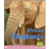 African Elephants by Roland Smith
