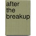 After The Breakup