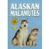Alaskan Malamutes