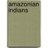 Amazonian Indians