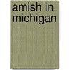 Amish In Michigan door Gertrude Enders Huntington