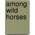Among Wild Horses