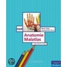 Anatomie Malatlas door Lawrence M. Elson