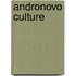 Andronovo Culture