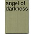 Angel Of Darkness