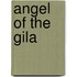 Angel of the Gila