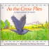 As the Crow Flies