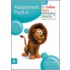 Assessment Pack 4