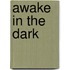 Awake In The Dark
