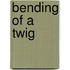 Bending of a Twig