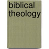 Biblical Theology door Brevard S. Childs