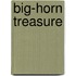 Big-Horn Treasure