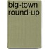 Big-Town Round-Up