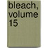Bleach, Volume 15