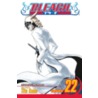 Bleach, Volume 22 door Tite Kubo