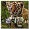 Jonge dieren door S. Millarca