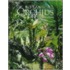 Botanical Orchids