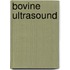 Bovine Ultrasound