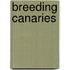 Breeding Canaries
