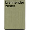 Brennender Zaster by Ricardo Piglia
