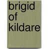 Brigid of Kildare door Heather Terrell