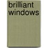 Brilliant Windows