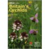 Britain's Orchids