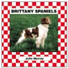 Brittany Spaniels door Julie Murray