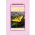 Butterfly Gardens