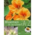 Bloemen in acrylverf van A tot Z