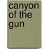 Canyon Of The Gun