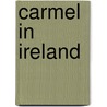 Carmel in Ireland door James P. Rushe