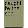 Caught by the Sea door Gary Paulsen