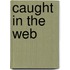 Caught in the Web