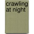 Crawling At Night