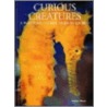 Curious Creatures by Andrew Cleave