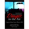 Danger In The Air by Brian Power-waters Xiii