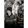 Ik was een steen door S. Goeminne