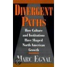Divergent Paths C by Marc Egnal